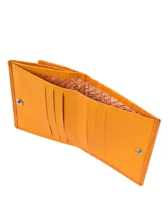 Женский кошелек Petek 200.091.89