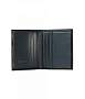 Портмоне мужское кожаное Petek 228.041.A10