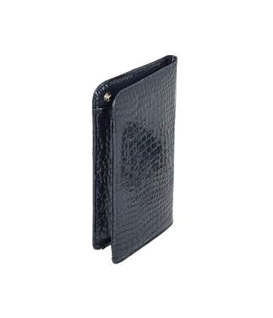 Футляр для очков Petek 2636.091.08