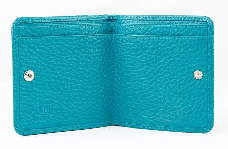 Женский кошелек Petek 355.46B.32