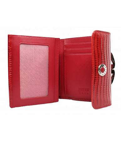 Женский кошелек Petek 389.41P.10