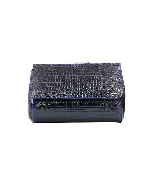 Косметичка Petek 410.41V.F60