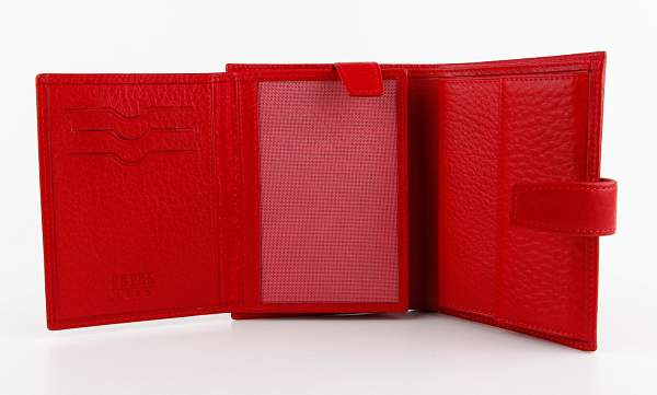 Портмоне мужское кожаное Petek 433.46B.10