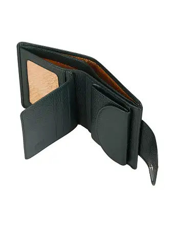 Женский кошелек Petek 462.CFM.65