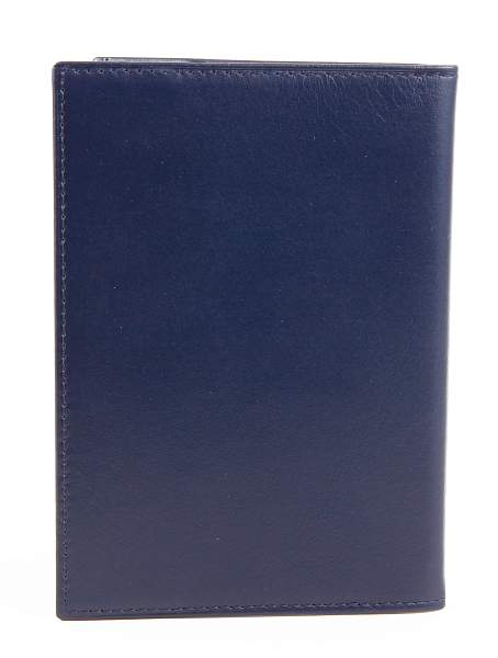 Обложка для паспорта Petek 581.000.88