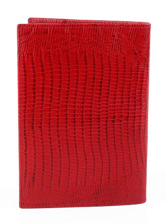 Обложка для паспорта Petek 581.41P.10