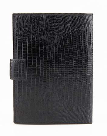 Обложка для паспорта Petek 581D.041.01