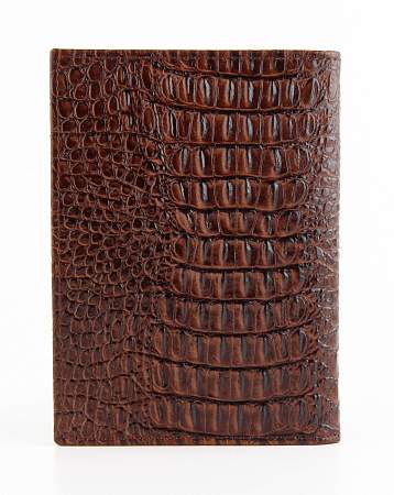 Обложка для автодокументов Petek 584.067.02