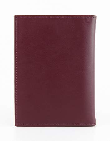 Обложка для автодокументов Petek 584.167.03