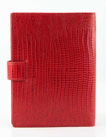 Обложка для автодокументов Petek 595.041.10