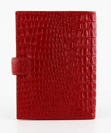 Обложка для автодокументов Petek 595.067.10