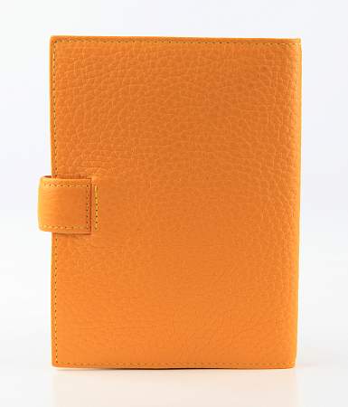 Обложка для автодокументов Petek 595.46BD.79