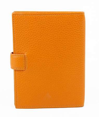 Обложка для автодокументов Petek 595.PGT.14