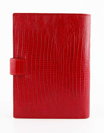 Обложка для автодокументов Petek 596.041.10