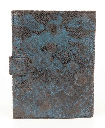 Обложка для автодокументов Petek 596.137.08