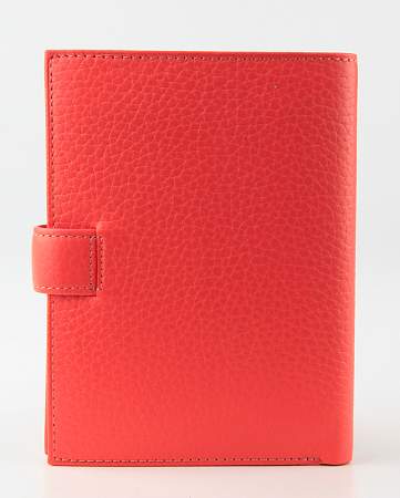 Обложка для автодокументов Petek 596.46BD.64