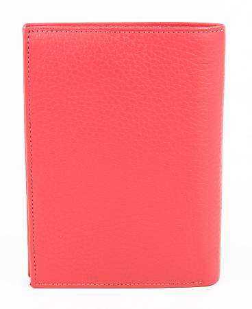 Обложка для автодокументов Petek 597.46D.64