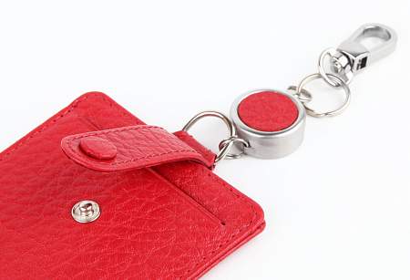 Чехол для пропусков Petek 602.46B.10