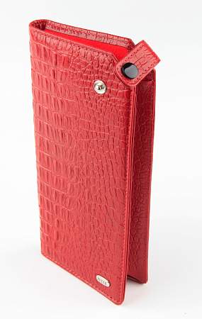 Футляр для очков Petek 636.067.10