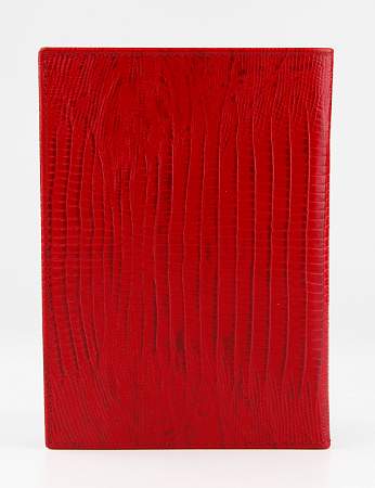 Обложка для паспорта Petek 651.041.10