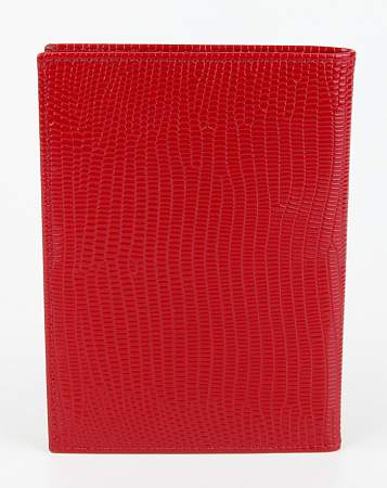 Обложка для паспорта Petek 652.173.10